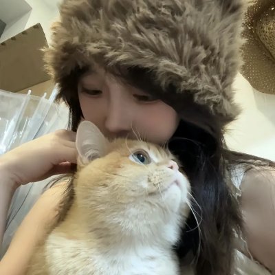 有猫的迷宫